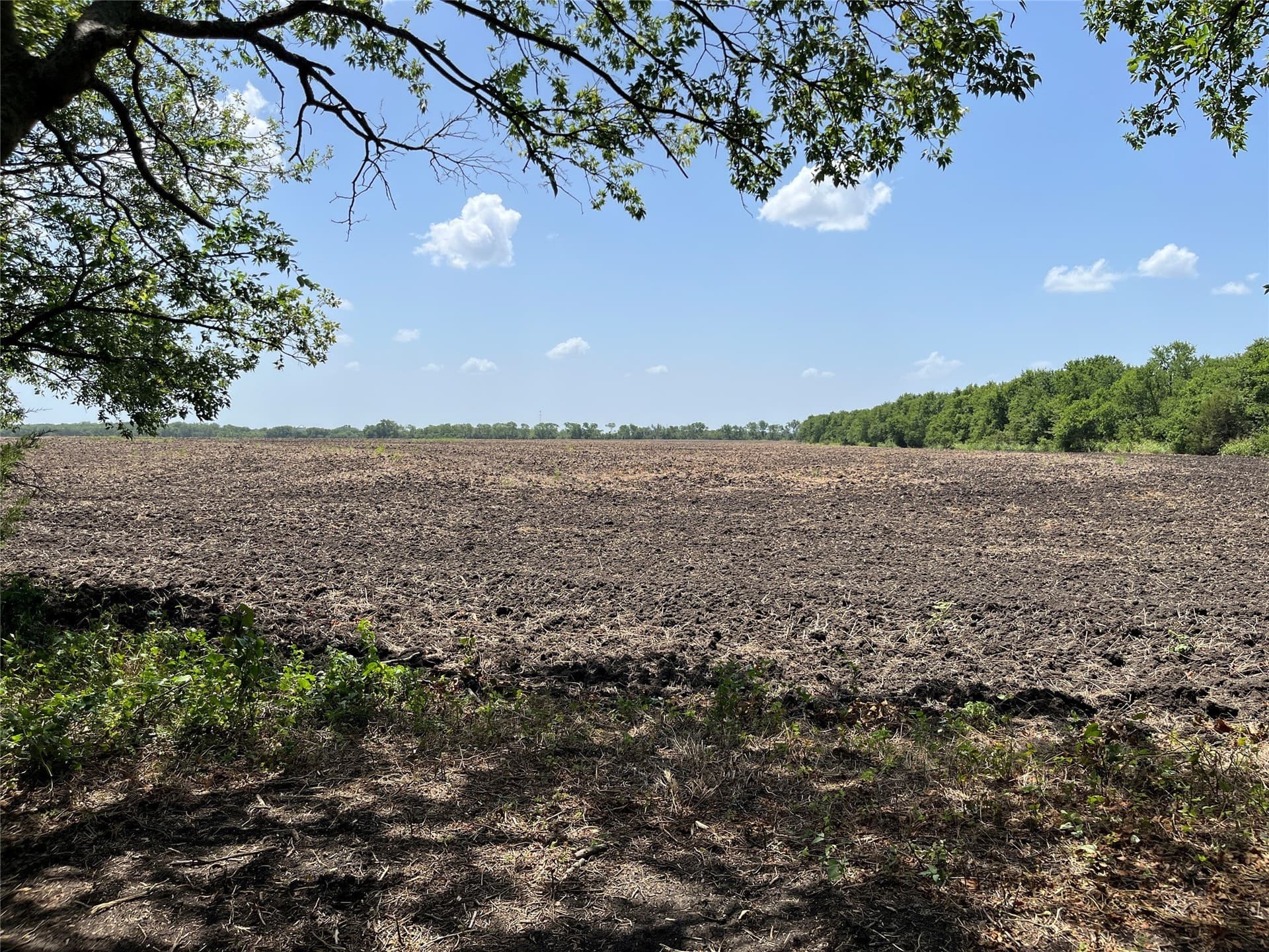 41.36 acres in Grayson County - photo 15