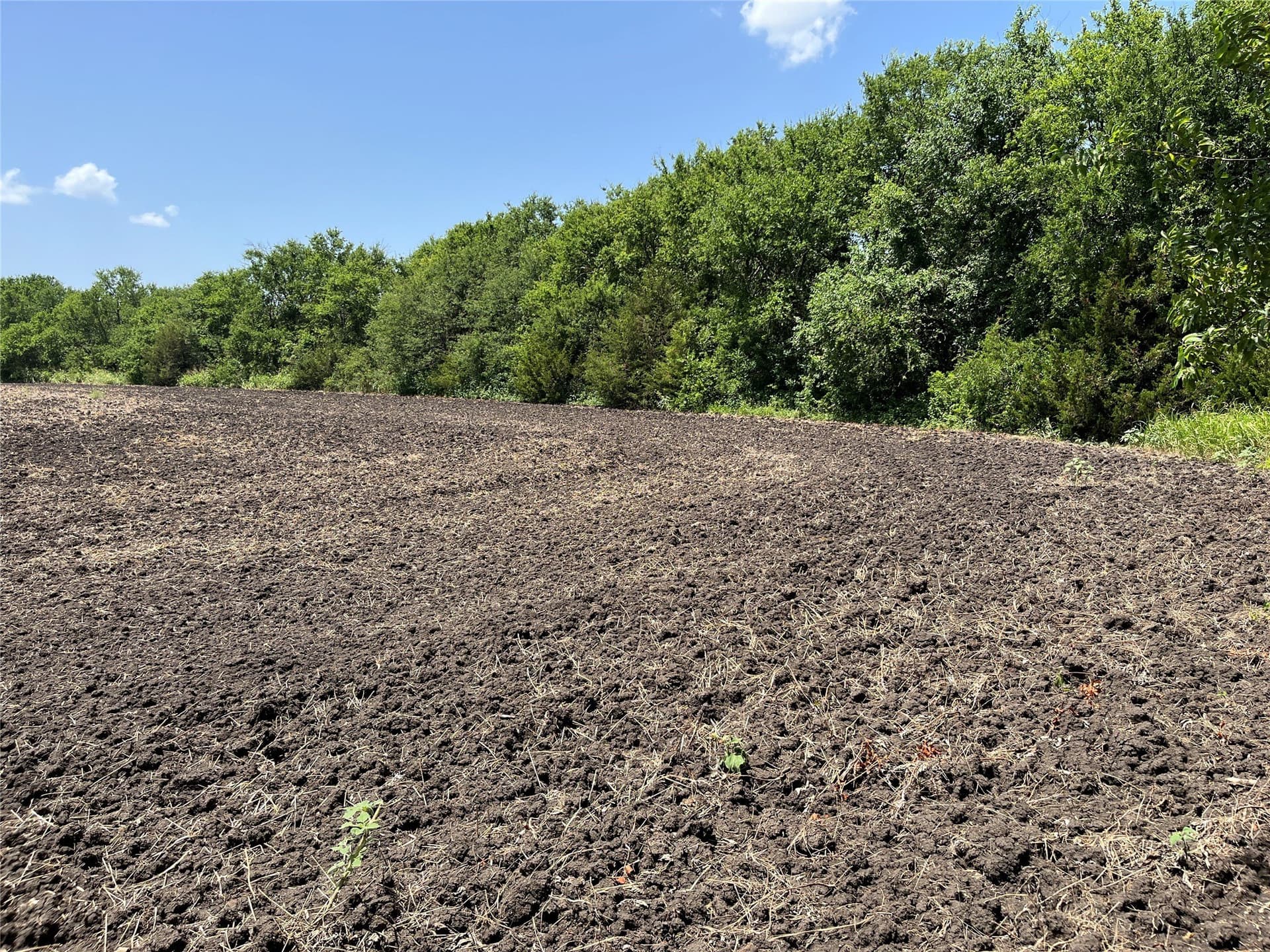 41.36 acres in Grayson County - photo 17