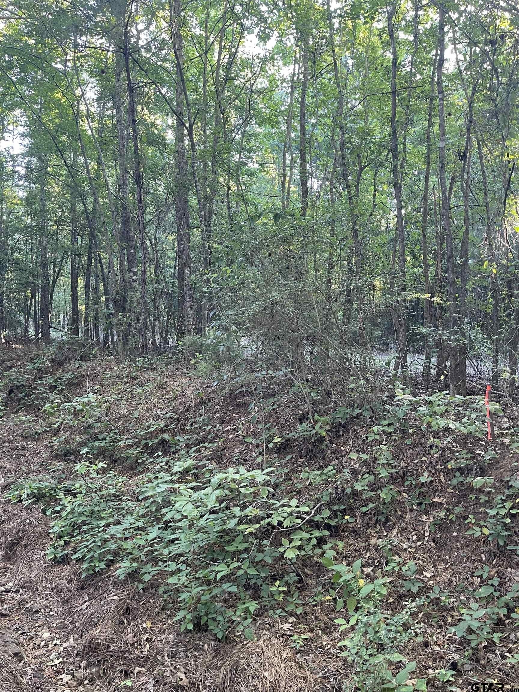 2.39 acres in Smith County - photo 3