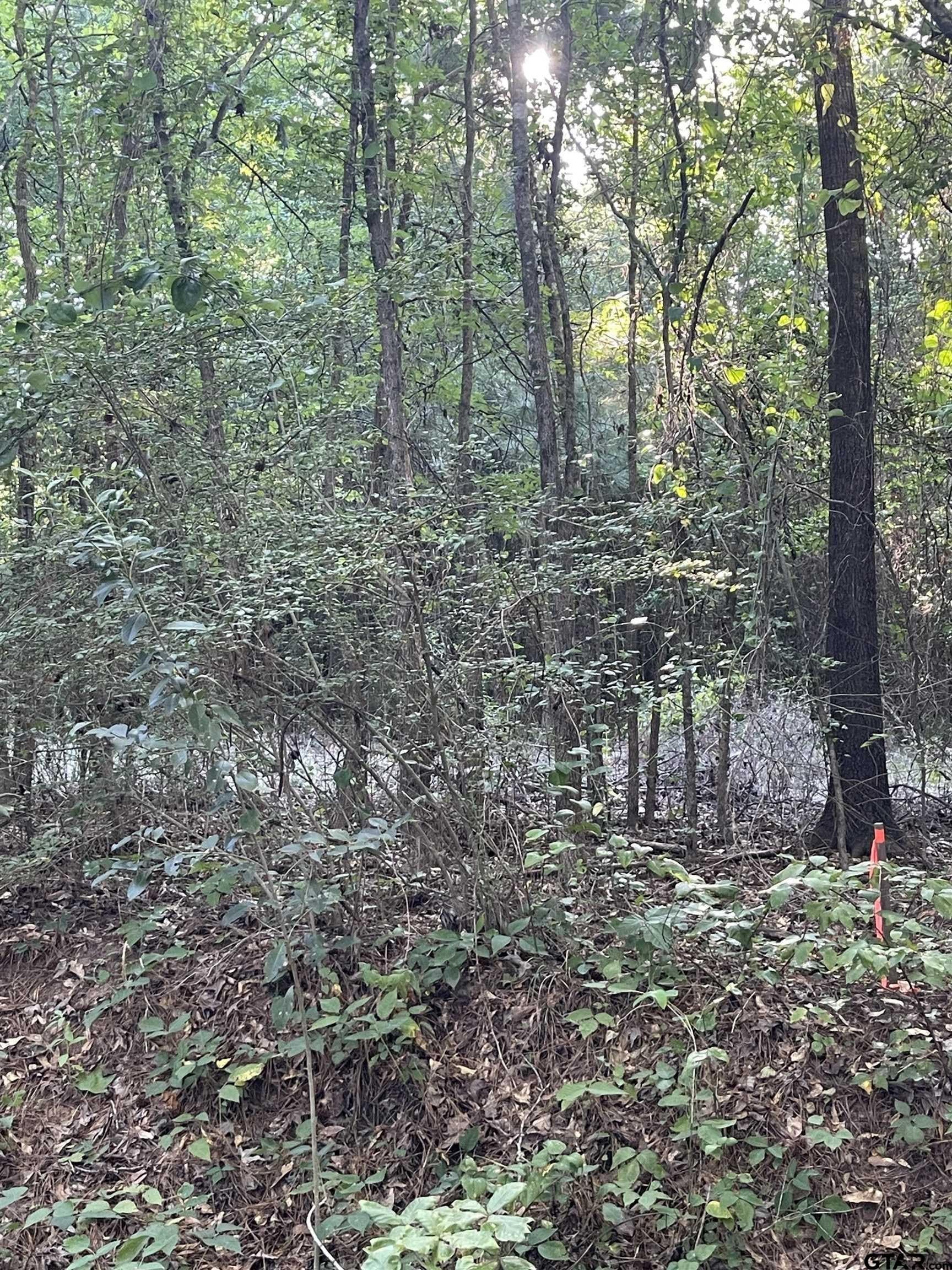 2.39 acres in Smith County - photo 2