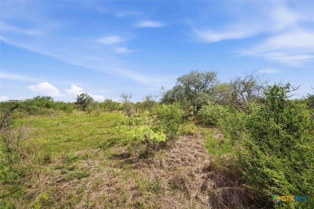 11.74 acres in Goliad County gallery image 4
