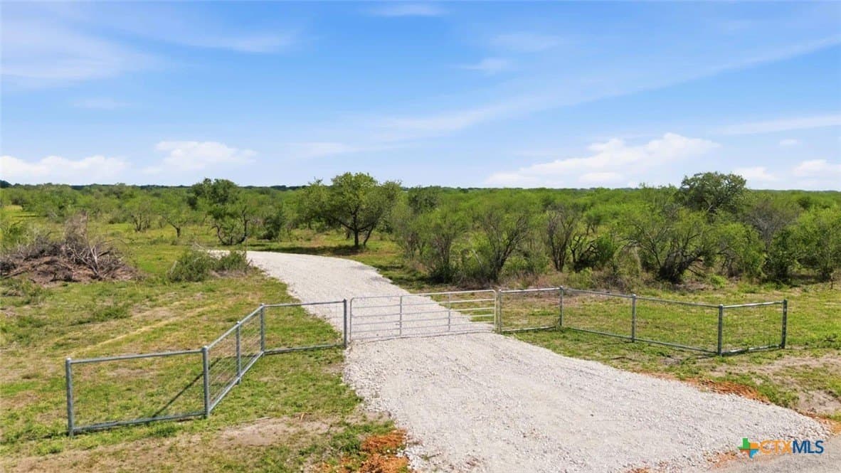 11.74 acres in Goliad County gallery image 2