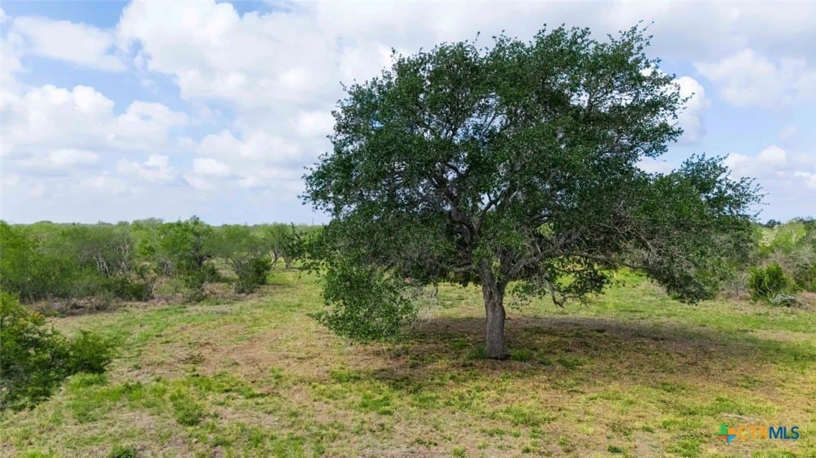 11.74 acres in Goliad County - photo 10