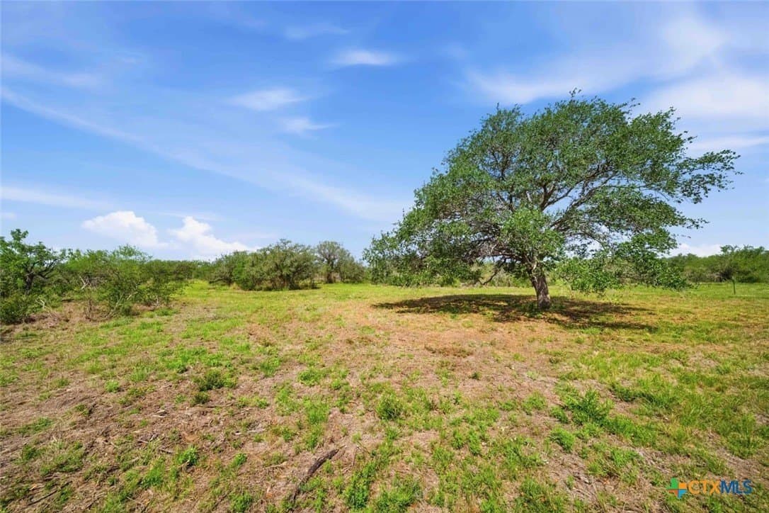 11.74 acres in Goliad County - photo 9