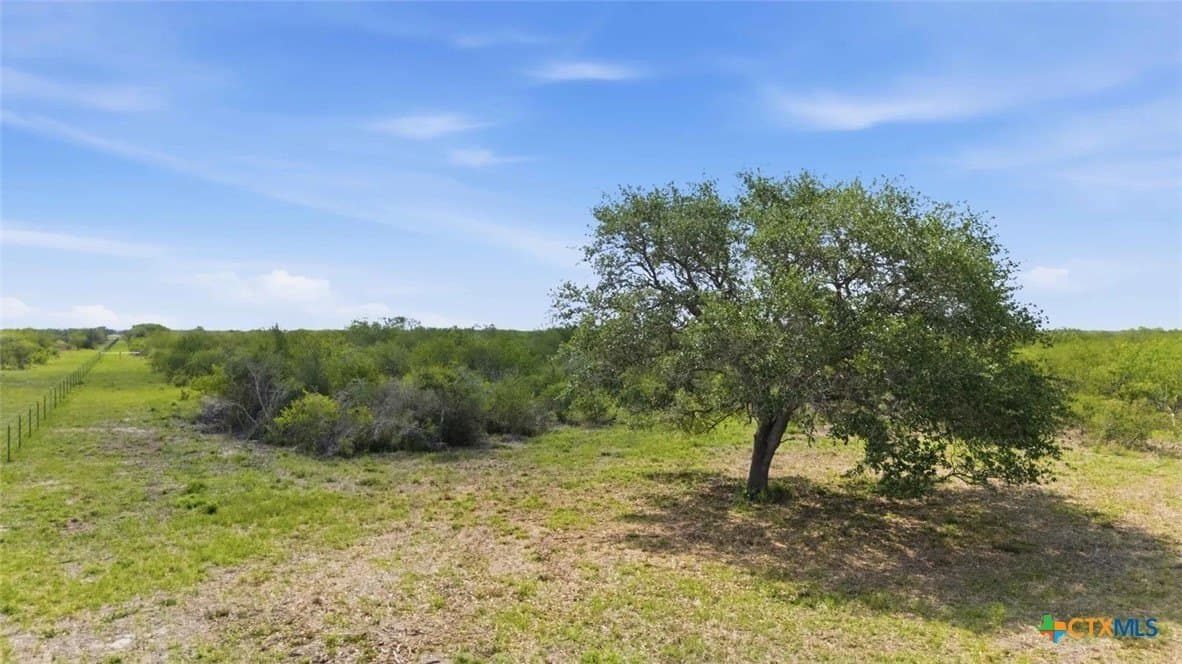 11.74 acres in Goliad County - photo 6