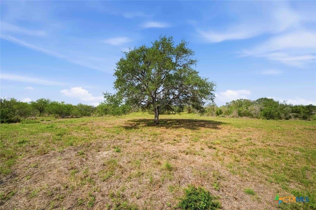 11.74 acres in Goliad County gallery image 3