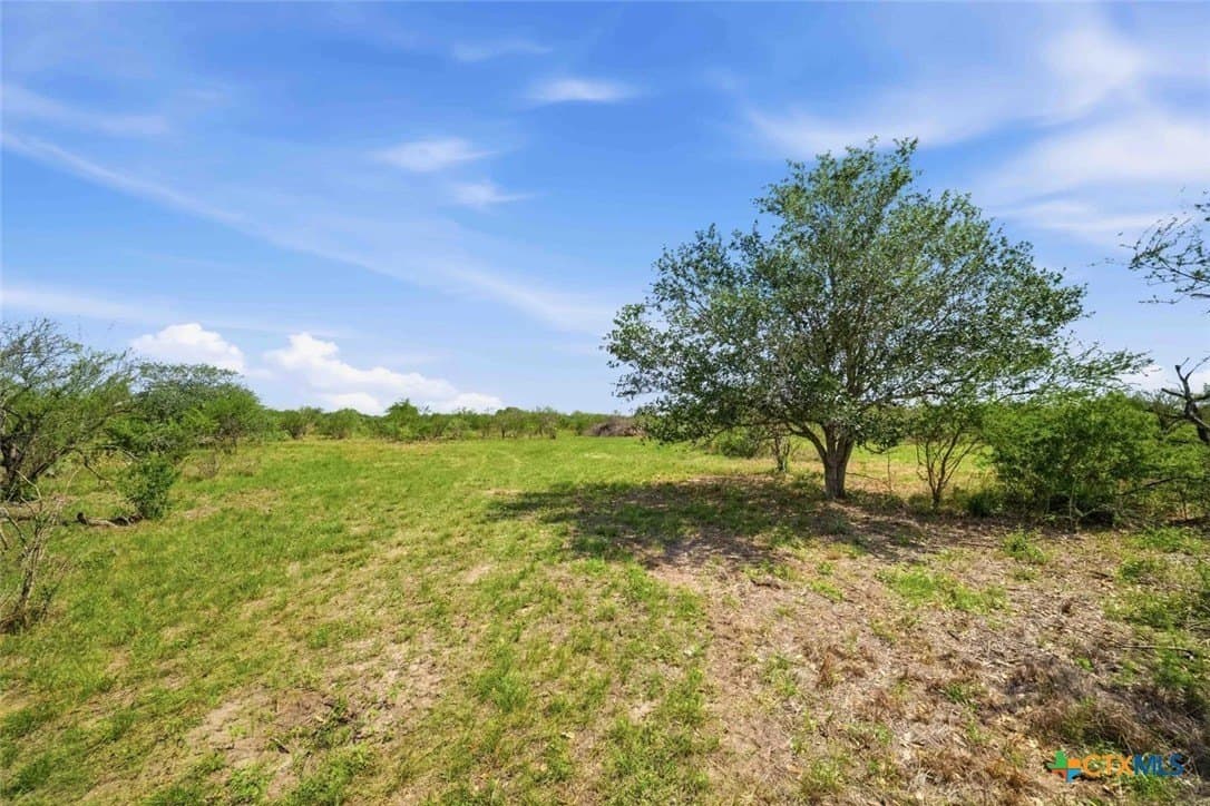 11.74 acres in Goliad County - photo 8