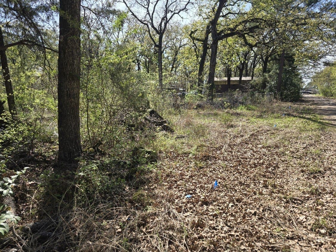 0.12 acres in Henderson County gallery image 4