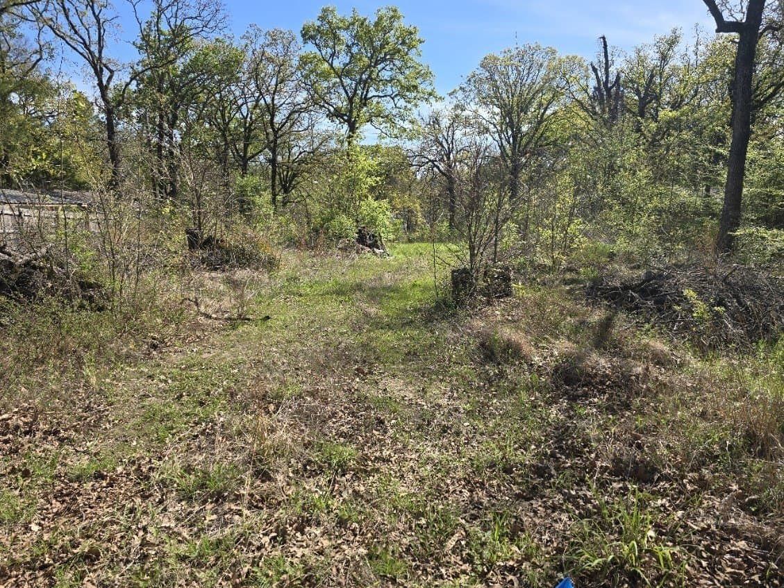 0.12 acres in Henderson County gallery image 2