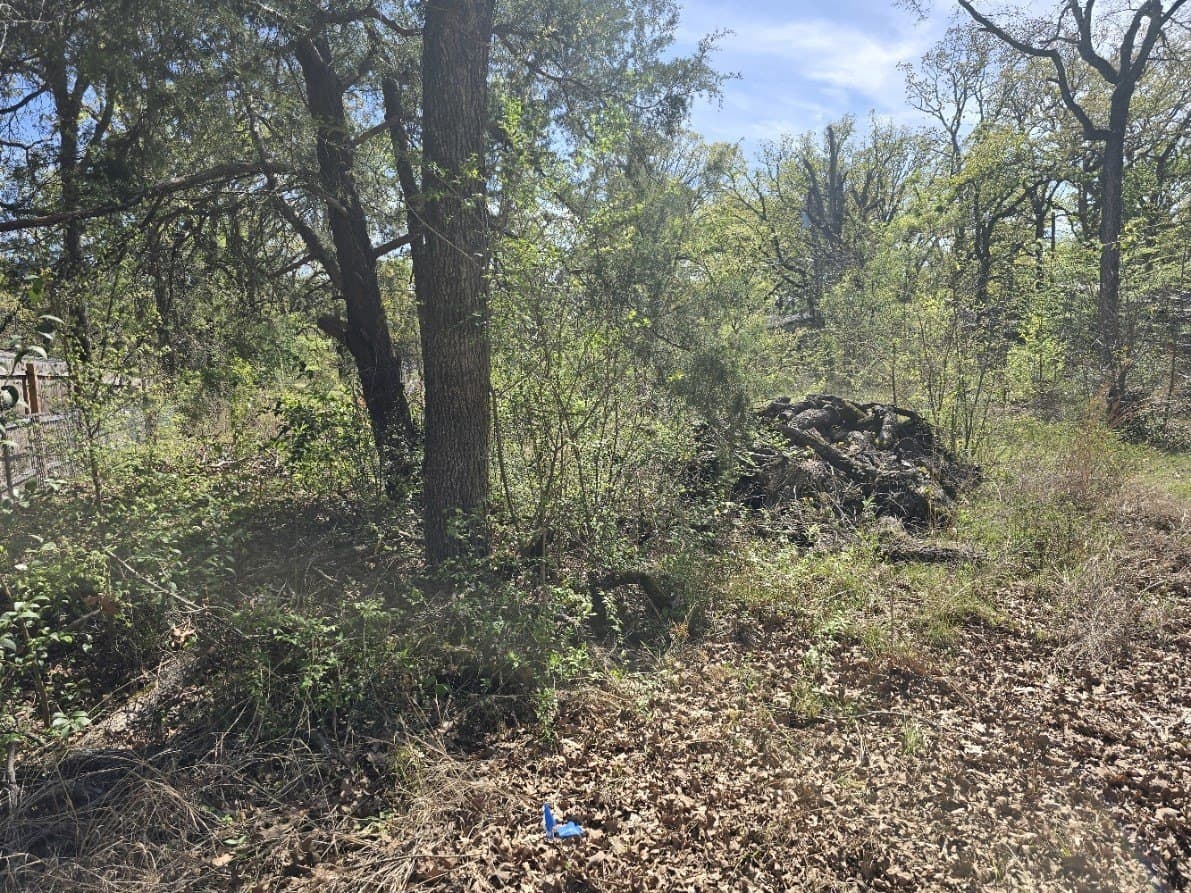 0.12 acres in Henderson County gallery image 3