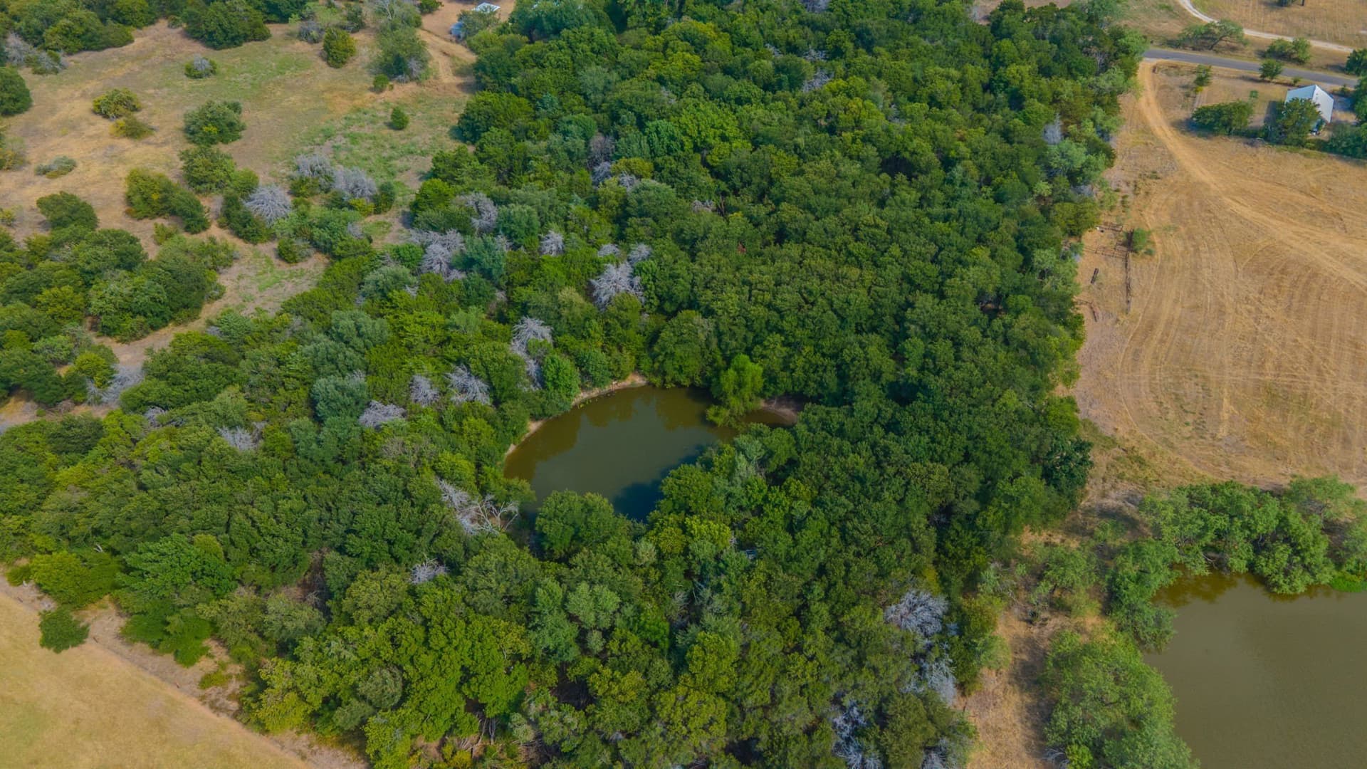 21.86 acres in McLennan County - photo 31