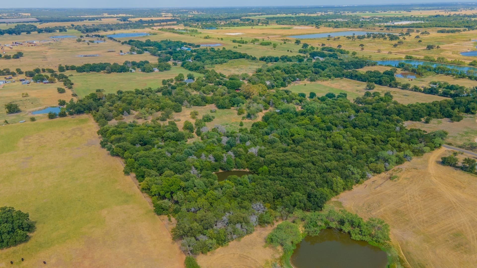21.86 acres in McLennan County - photo 29