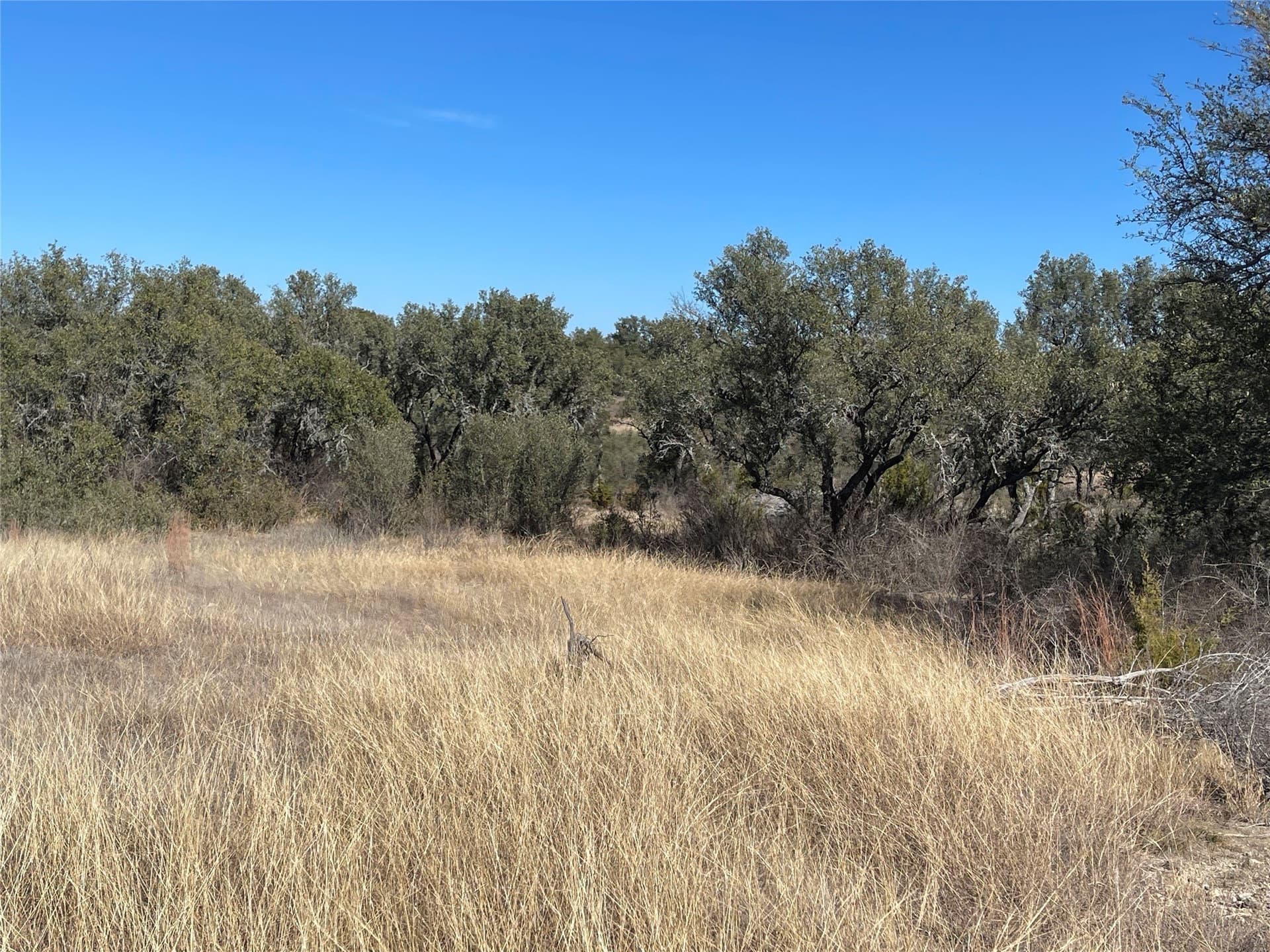 91 acres in Brown County - photo 26