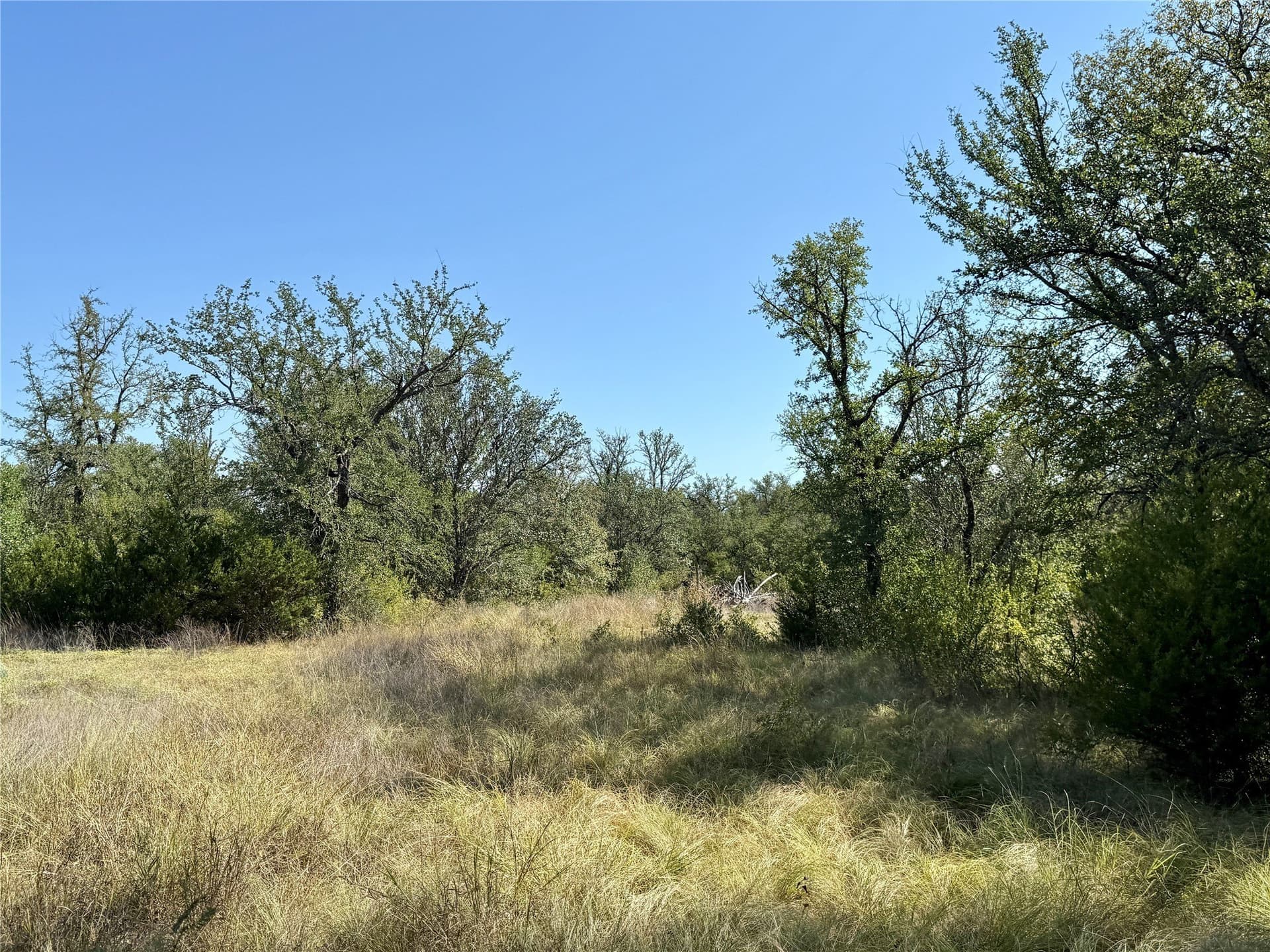 91 acres in Brown County - photo 39