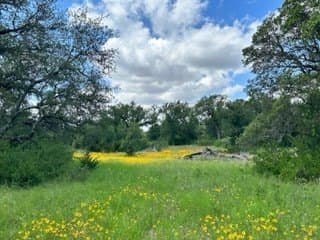 91 acres in Brown County - photo 15