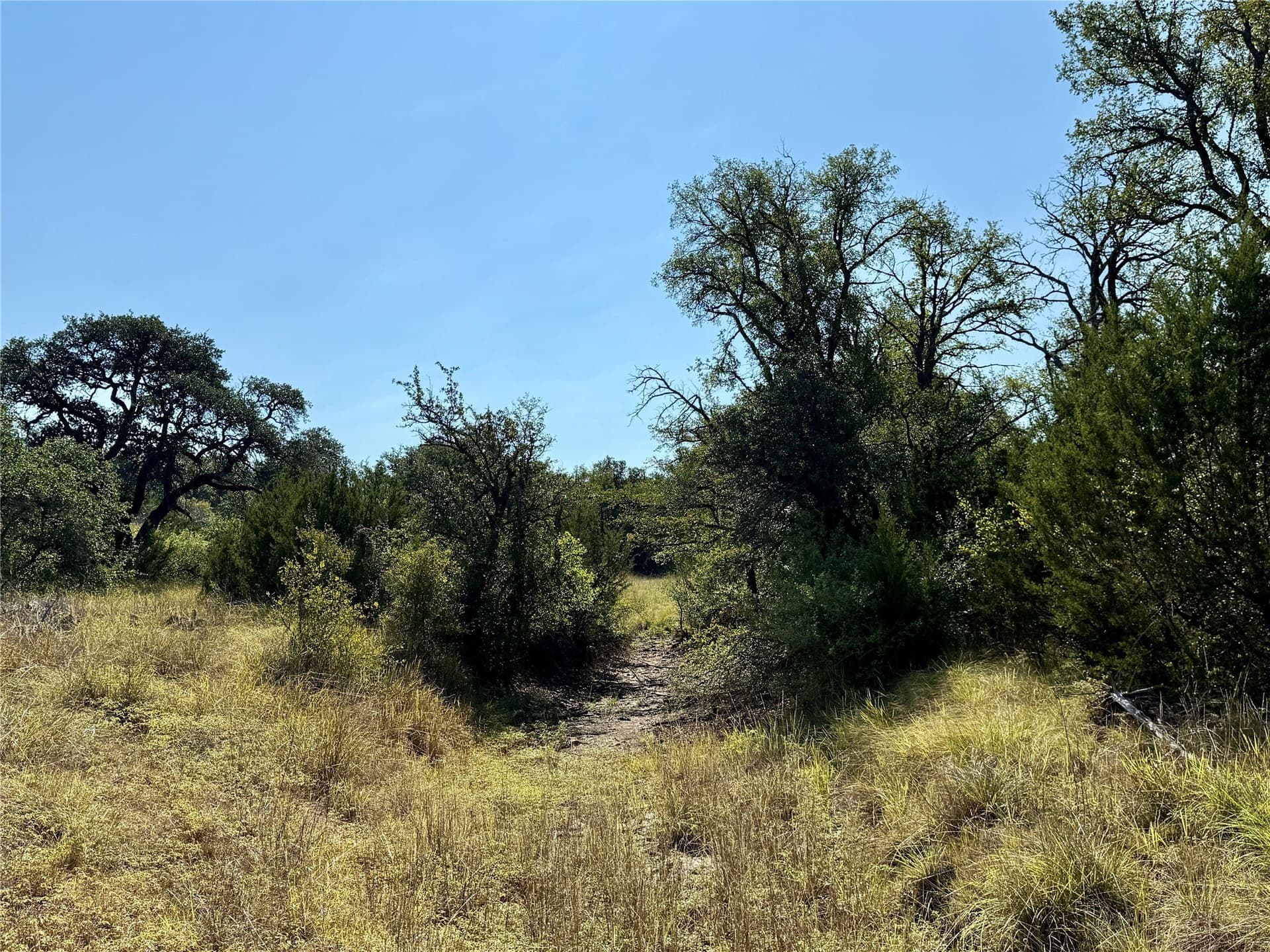 91 acres in Brown County - photo 35