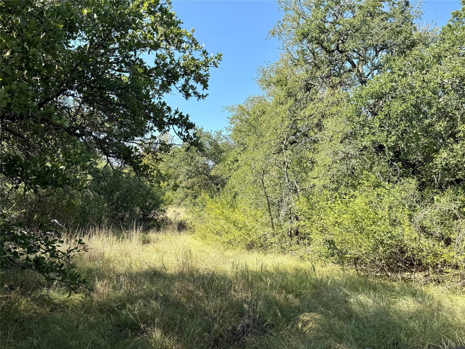 91 acres in Brown County - photo 36