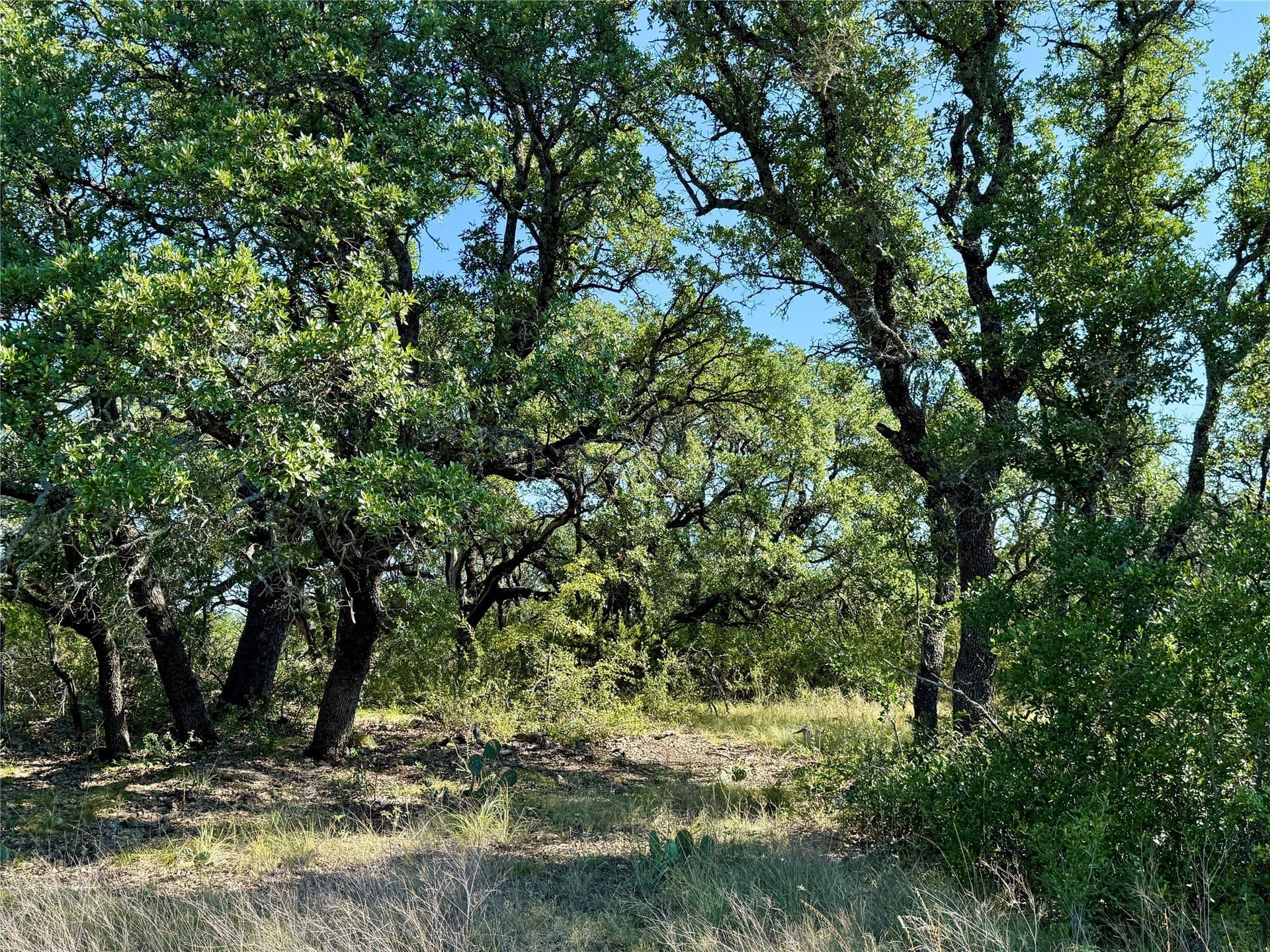 91 acres in Brown County - photo 34