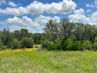 91 acres in Brown County - photo 11