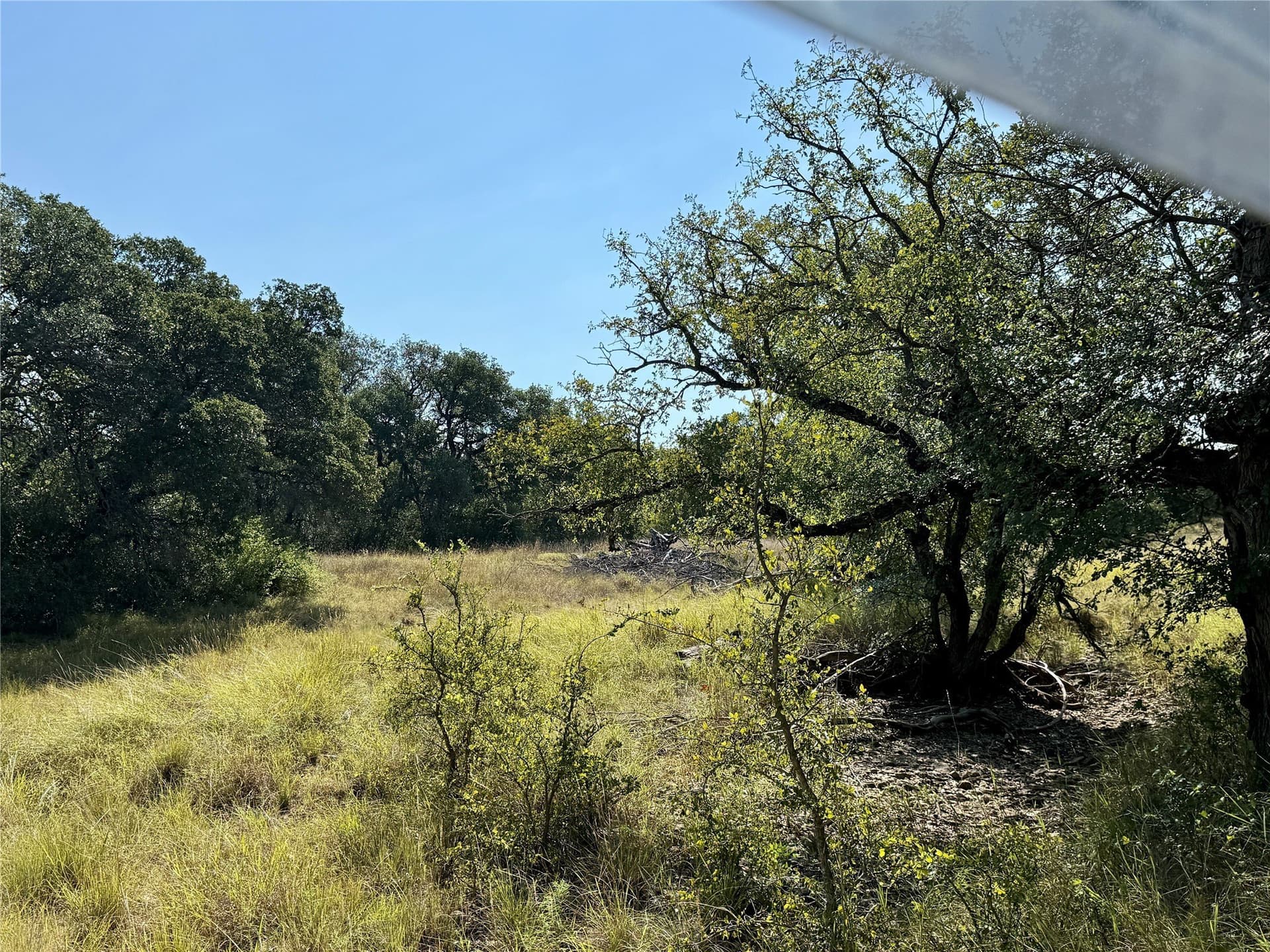 91 acres in Brown County - photo 29