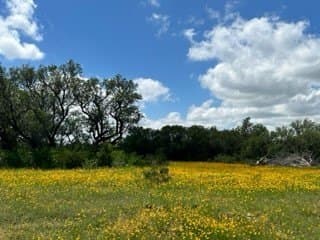 91 acres in Brown County - photo 14