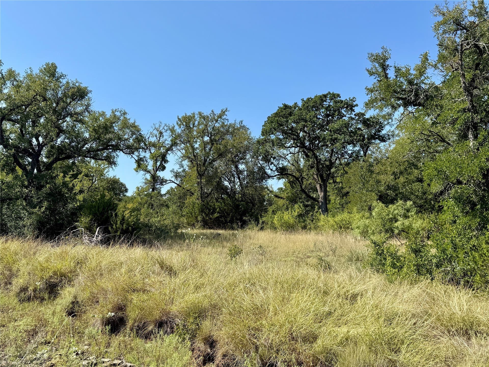 91 acres in Brown County - photo 33