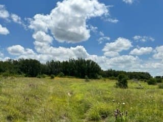91 acres in Brown County - photo 22