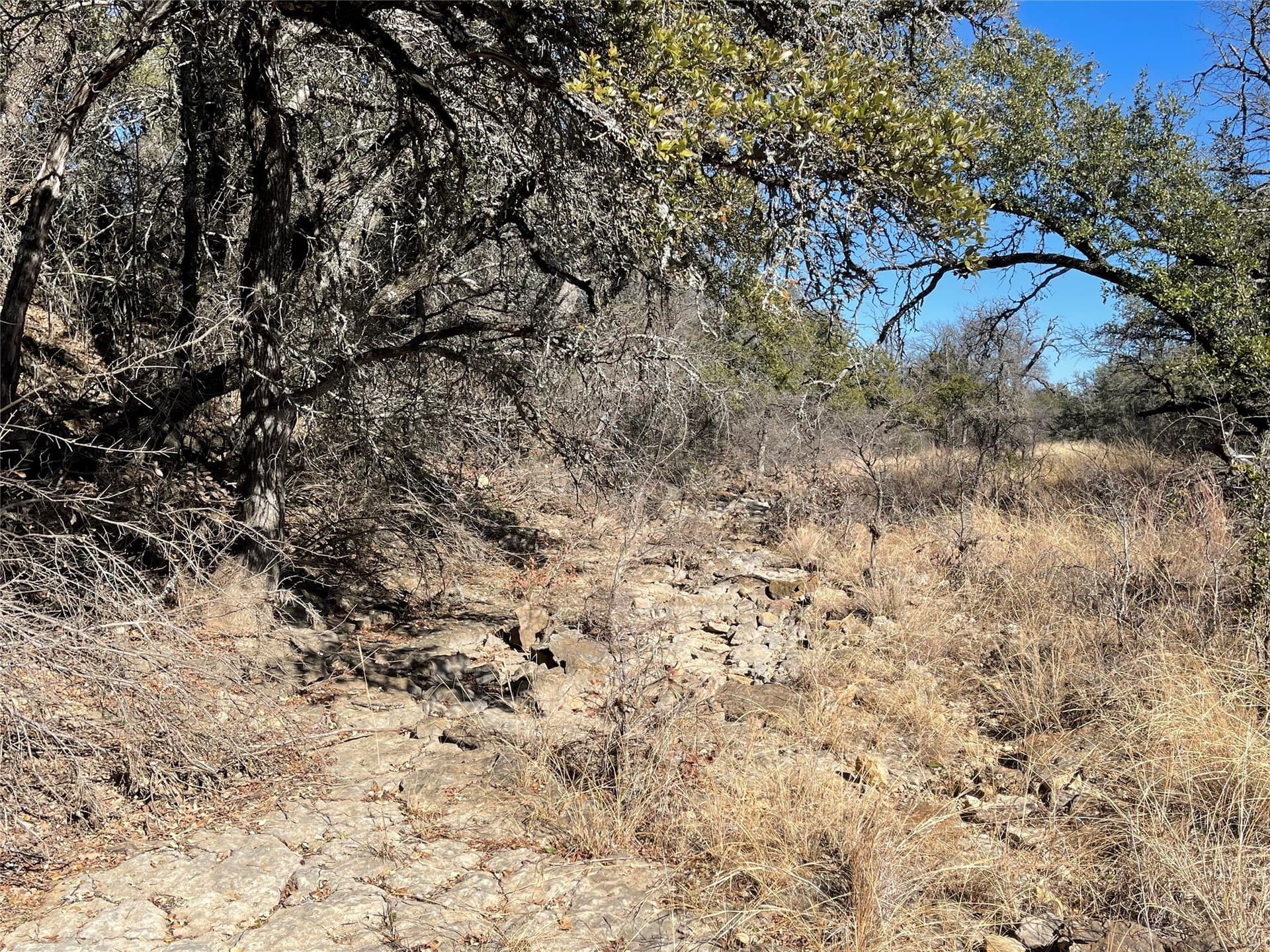 91 acres in Brown County - photo 25