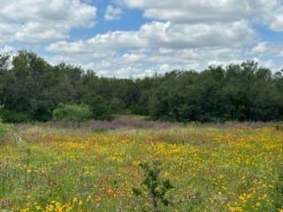 91 acres in Brown County - photo 8