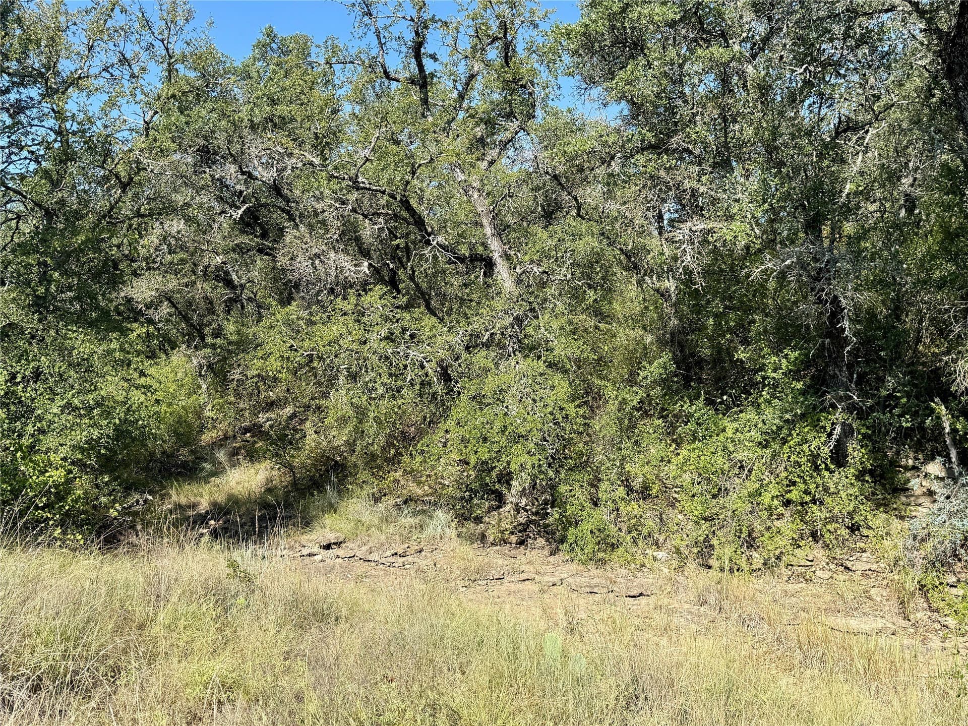 91 acres in Brown County - photo 38