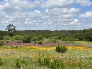 91 acres in Brown County - photo 4