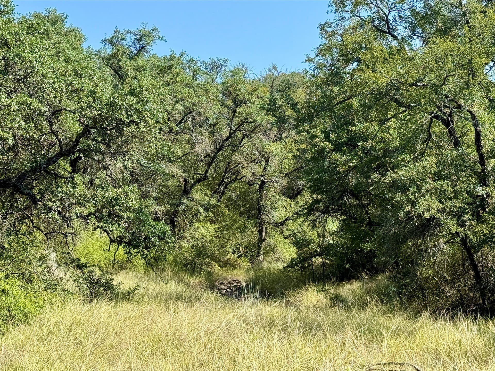 91 acres in Brown County - photo 28