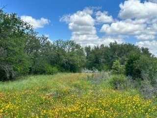 91 acres in Brown County - photo 17