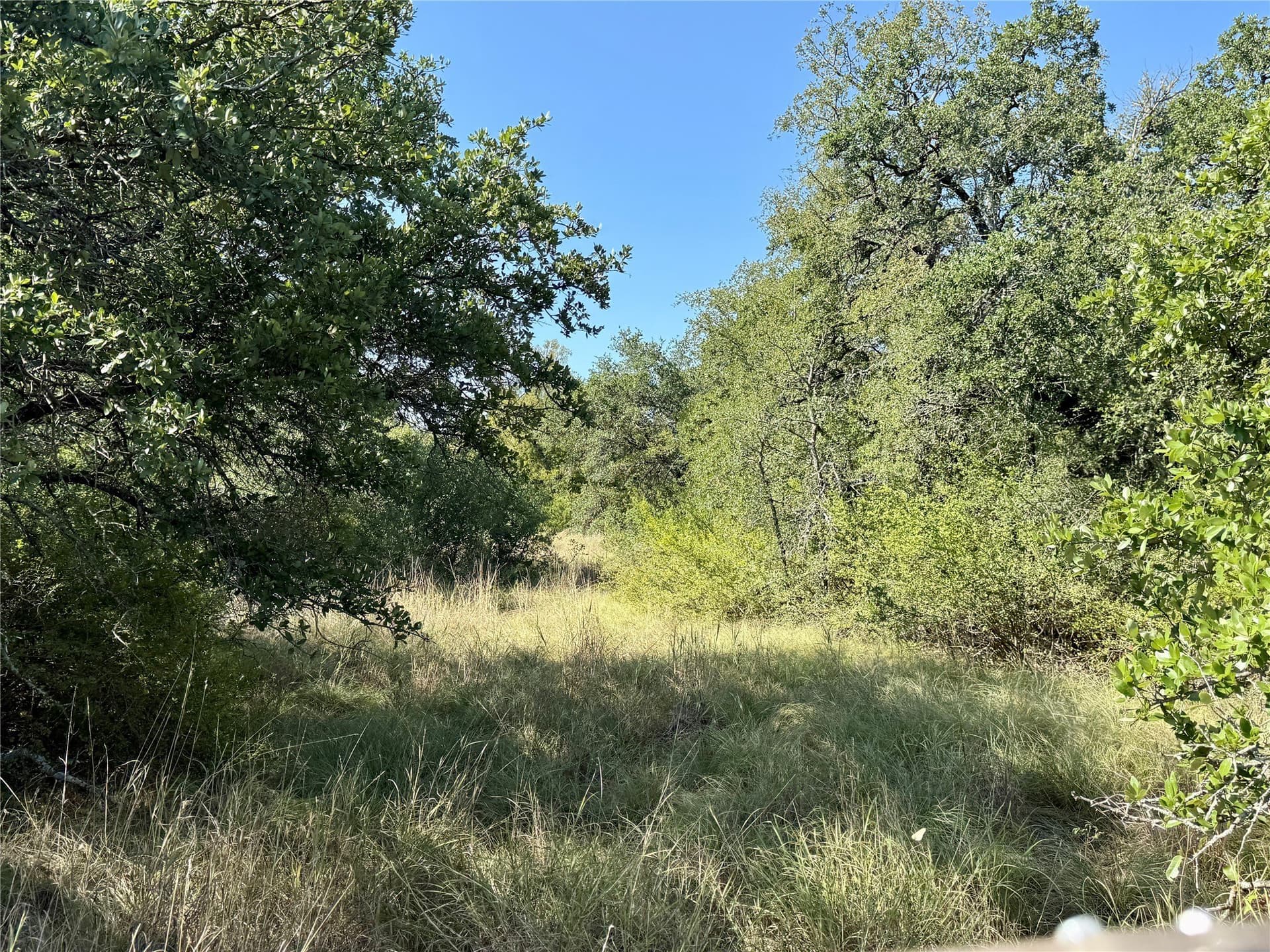 91 acres in Brown County - photo 37