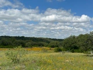 91 acres in Brown County - photo 5