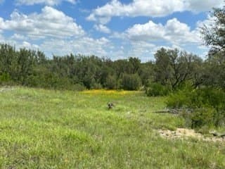 91 acres in Brown County - photo 10