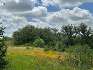 91 acres in Brown County - photo 7