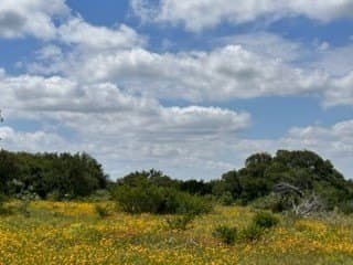 91 acres in Brown County - photo 3