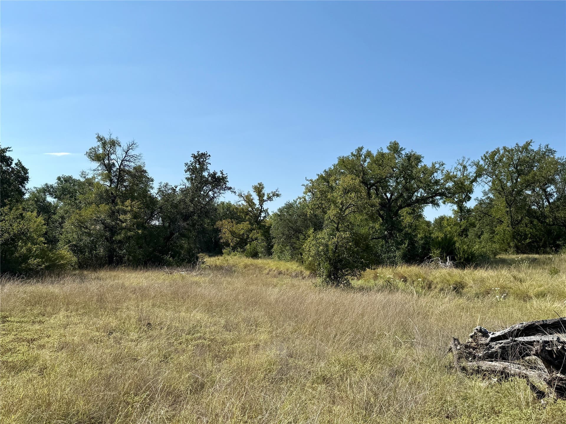 91 acres in Brown County - photo 31