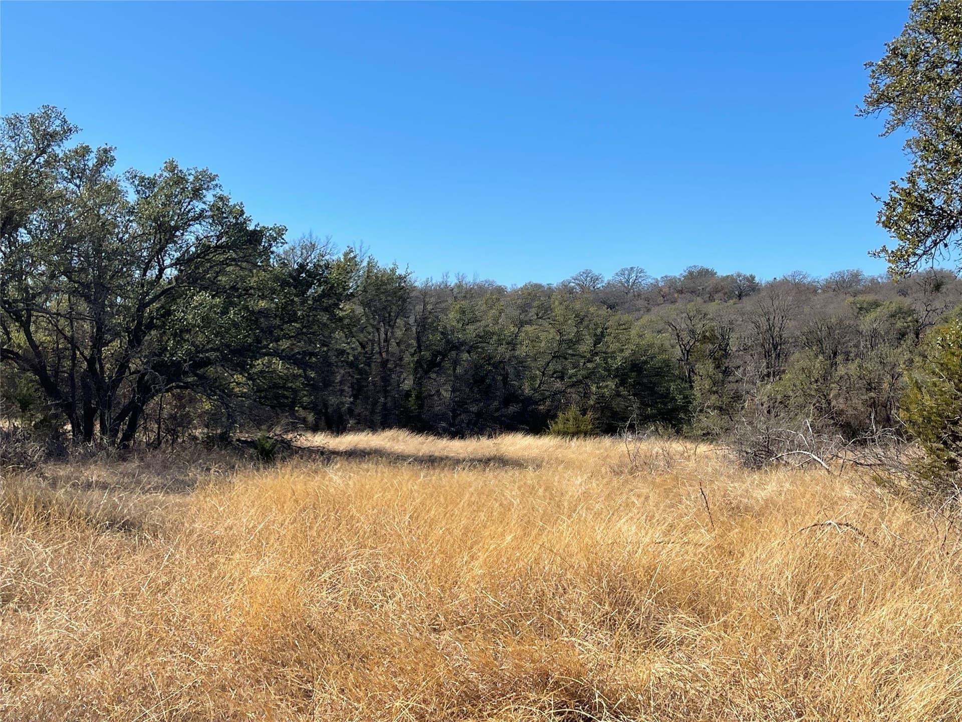 91 acres in Brown County - photo 23