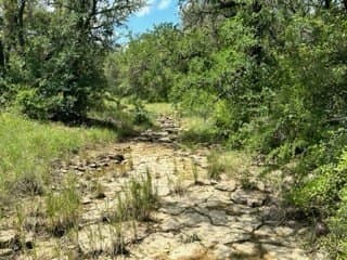 91 acres in Brown County - photo 16