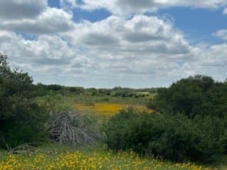 91 acres in Brown County - photo 6
