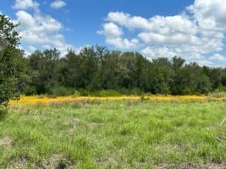 91 acres in Brown County - photo 19