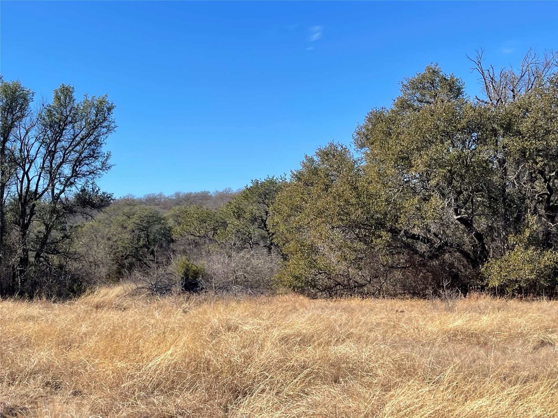 91 acres in Brown County - photo 24