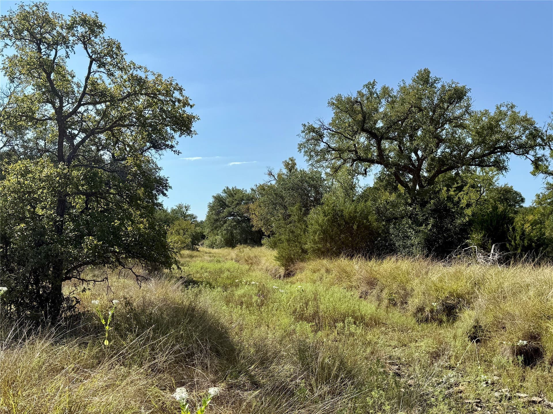 91 acres in Brown County - photo 32