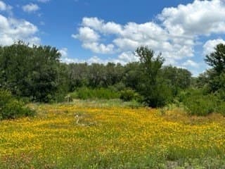 91 acres in Brown County - photo 20