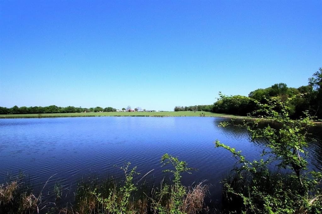 33.61 acres in Van Zandt County gallery image 3