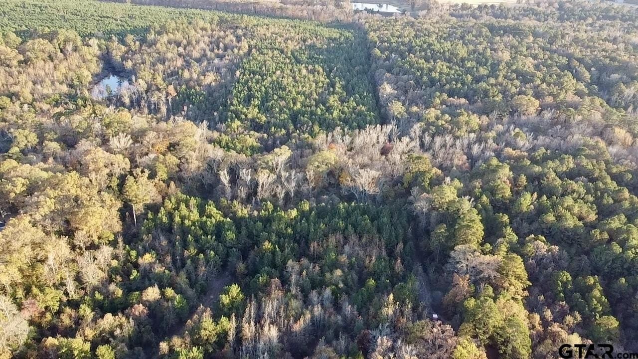 28.09 acres in Upshur County gallery image 4