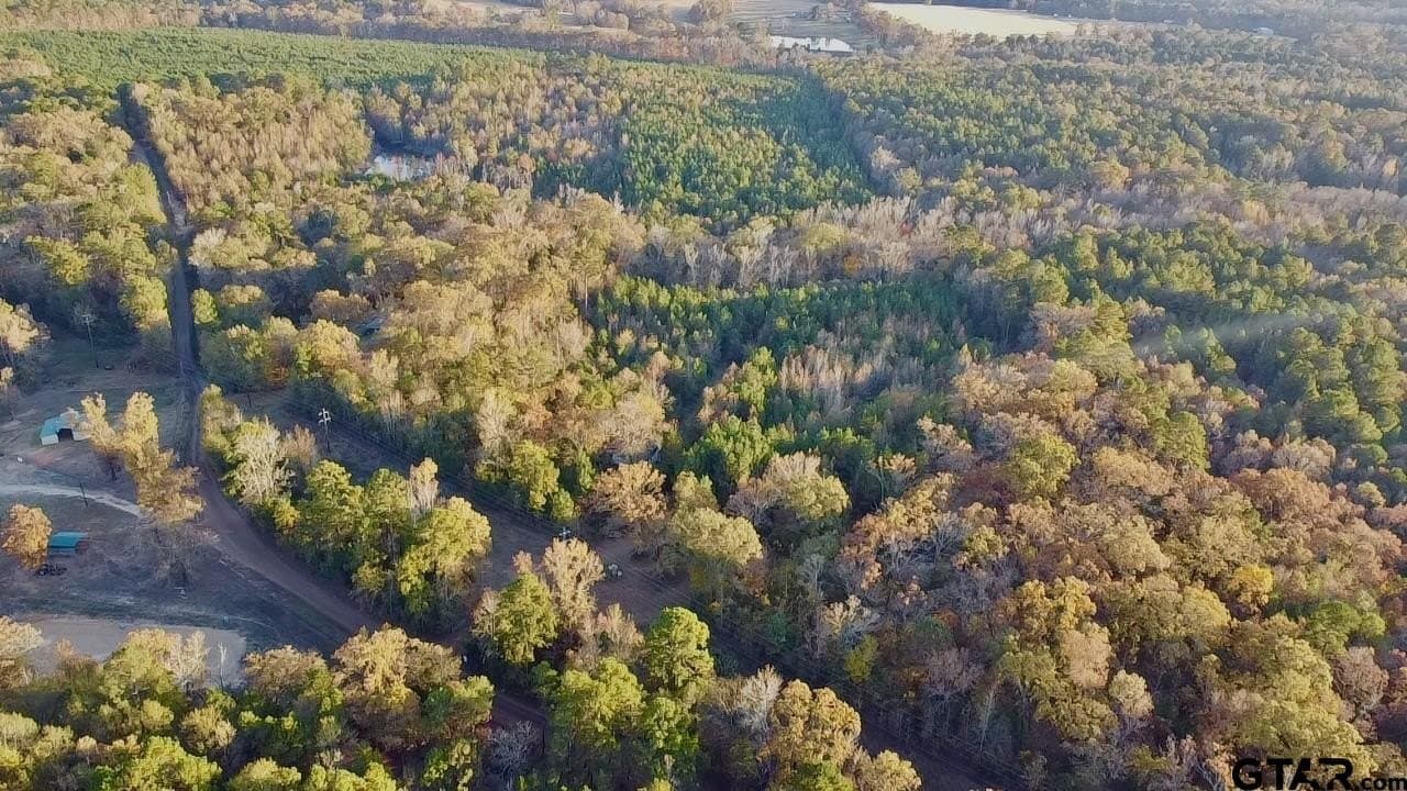 28.09 acres in Upshur County gallery image 2