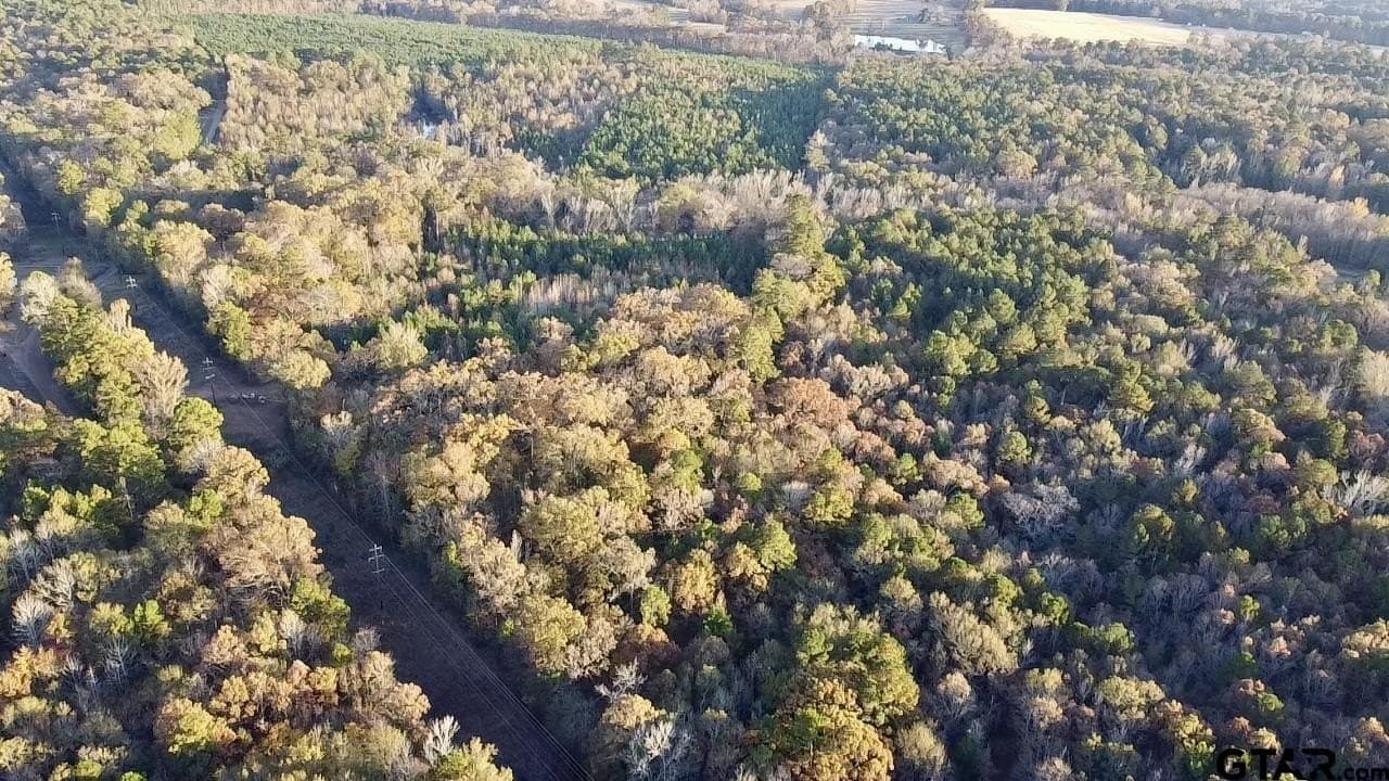 28.09 acres in Upshur County gallery image 3